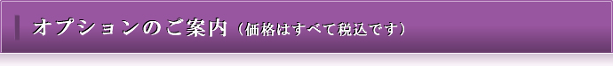 オプションのご案内